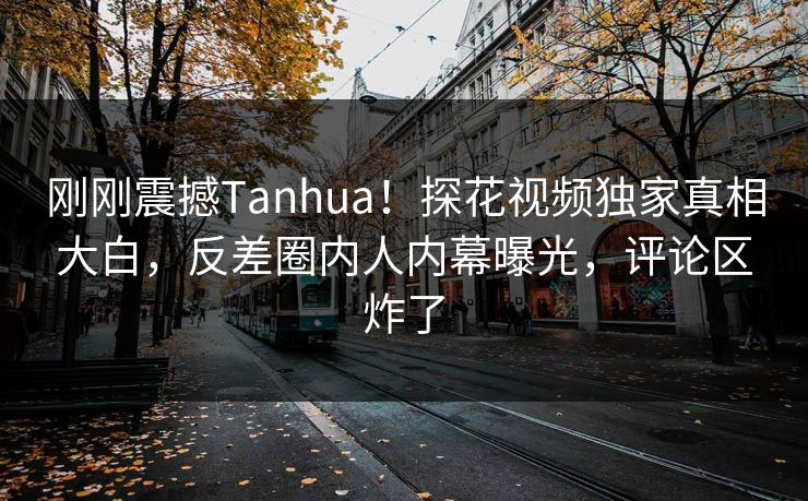 刚刚震撼Tanhua！探花视频独家真相大白，反差圈内人内幕曝光，评论区炸了