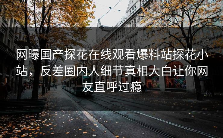 网曝国产探花在线观看爆料站探花小站，反差圈内人细节真相大白让你网友直呼过瘾