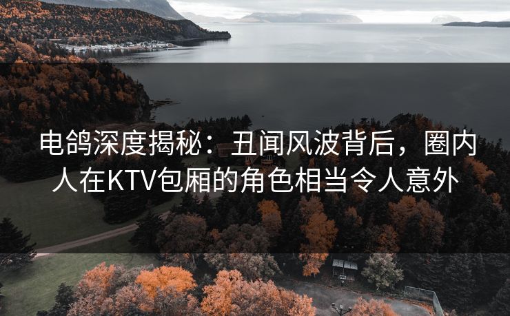 电鸽深度揭秘：丑闻风波背后，圈内人在KTV包厢的角色相当令人意外