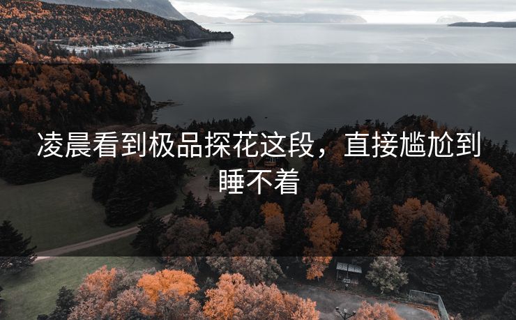 凌晨看到极品探花这段，直接尴尬到睡不着