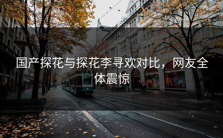 国产探花与探花李寻欢对比，网友全体震惊