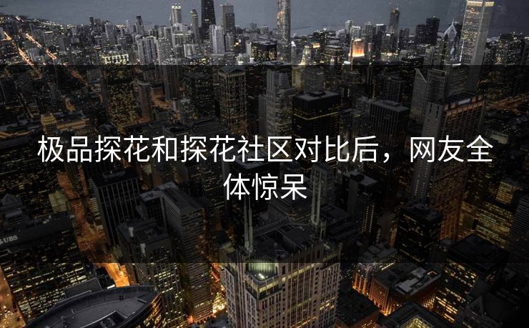 极品探花和探花社区对比后，网友全体惊呆