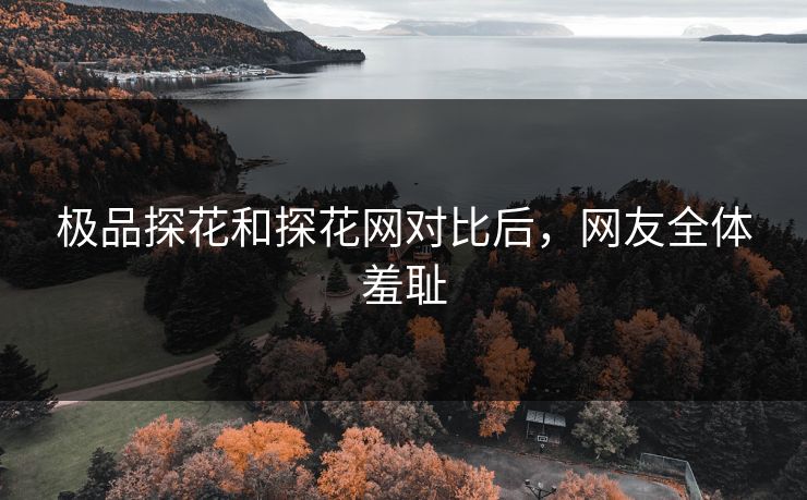 极品探花和探花网对比后，网友全体羞耻