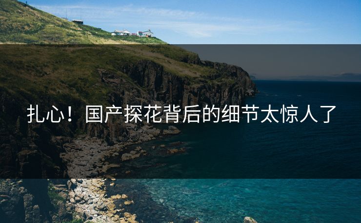 扎心！国产探花背后的细节太惊人了