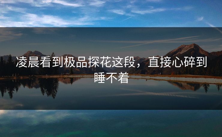 凌晨看到极品探花这段，直接心碎到睡不着