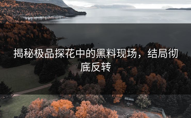 揭秘极品探花中的黑料现场，结局彻底反转