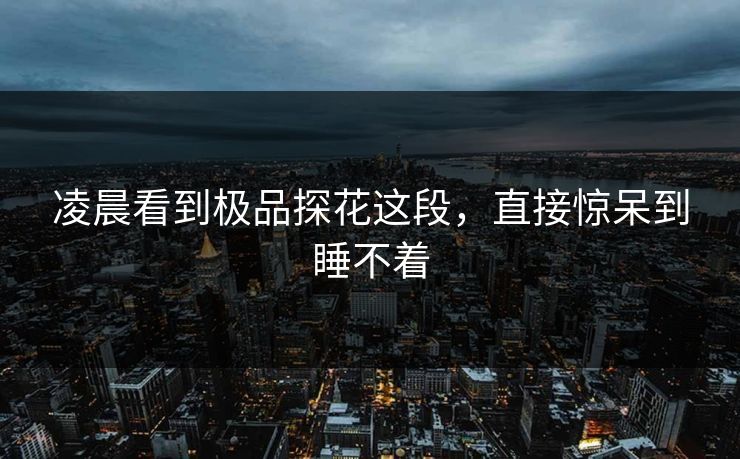 凌晨看到极品探花这段，直接惊呆到睡不着