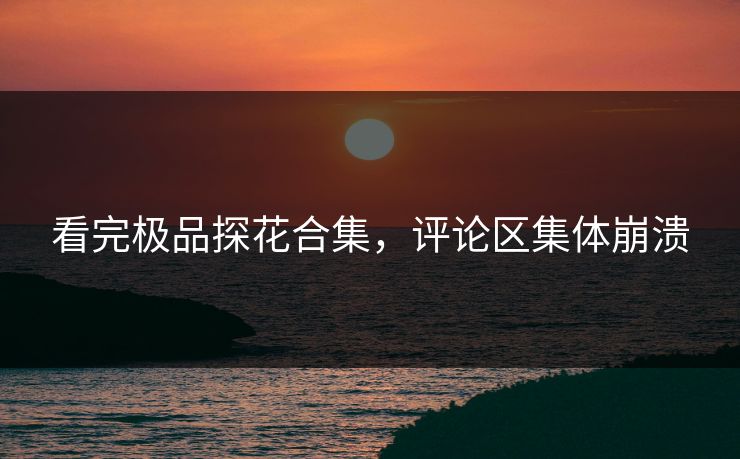 看完极品探花合集，评论区集体崩溃