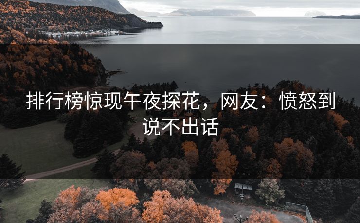 排行榜惊现午夜探花，网友：愤怒到说不出话