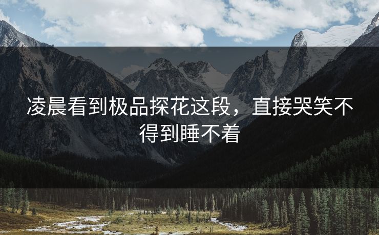 凌晨看到极品探花这段，直接哭笑不得到睡不着