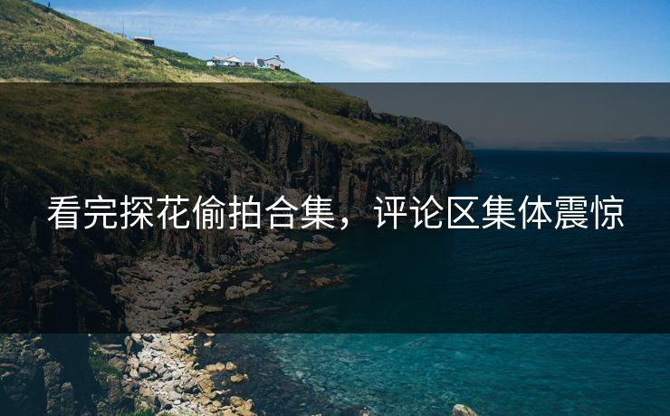 看完探花偷拍合集，评论区集体震惊