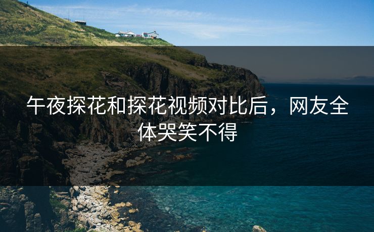 午夜探花和探花视频对比后，网友全体哭笑不得