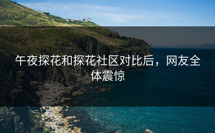 午夜探花和探花社区对比后，网友全体震惊