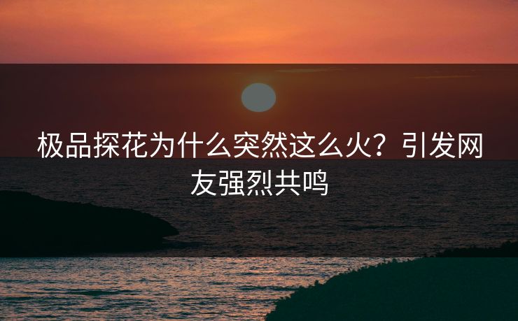 极品探花为什么突然这么火？引发网友强烈共鸣