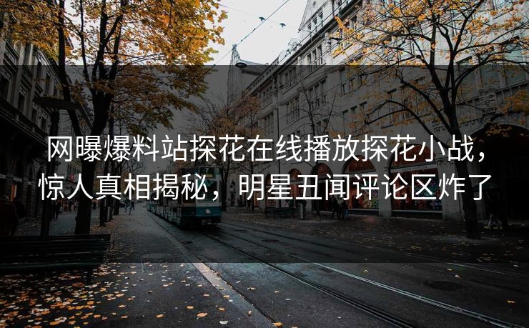 网曝爆料站探花在线播放探花小战，惊人真相揭秘，明星丑闻评论区炸了