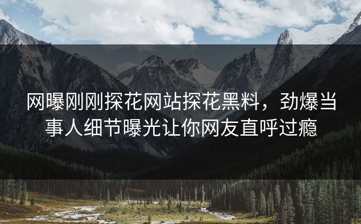 网曝刚刚探花网站探花黑料，劲爆当事人细节曝光让你网友直呼过瘾