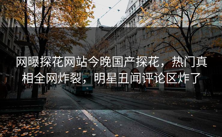 网曝探花网站今晚国产探花，热门真相全网炸裂，明星丑闻评论区炸了