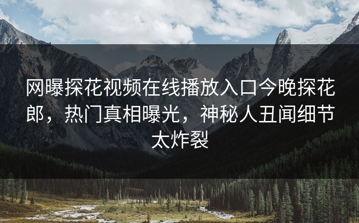 网曝探花视频在线播放入口今晚探花郎，热门真相曝光，神秘人丑闻细节太炸裂