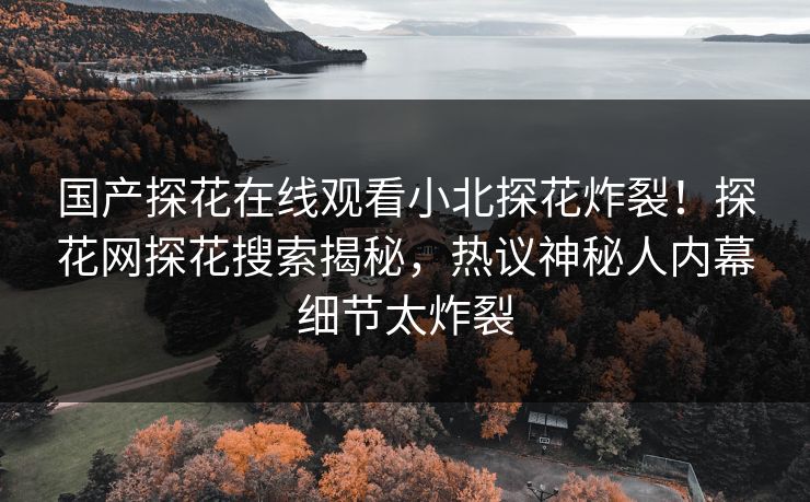 国产探花在线观看小北探花炸裂！探花网探花搜索揭秘，热议神秘人内幕细节太炸裂