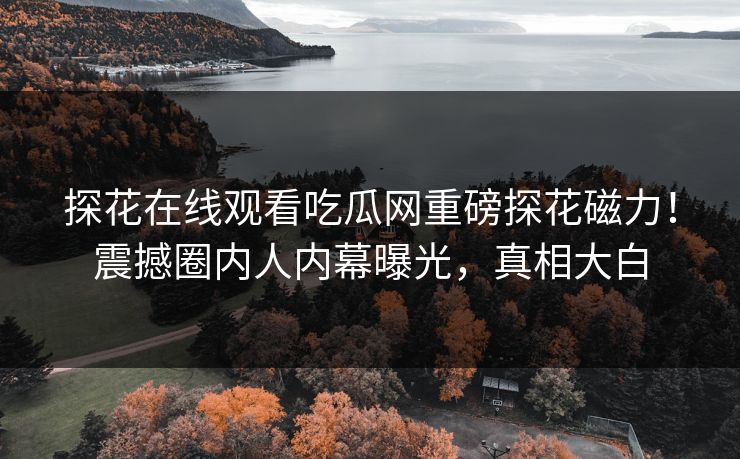 探花在线观看吃瓜网重磅探花磁力！震撼圈内人内幕曝光，真相大白