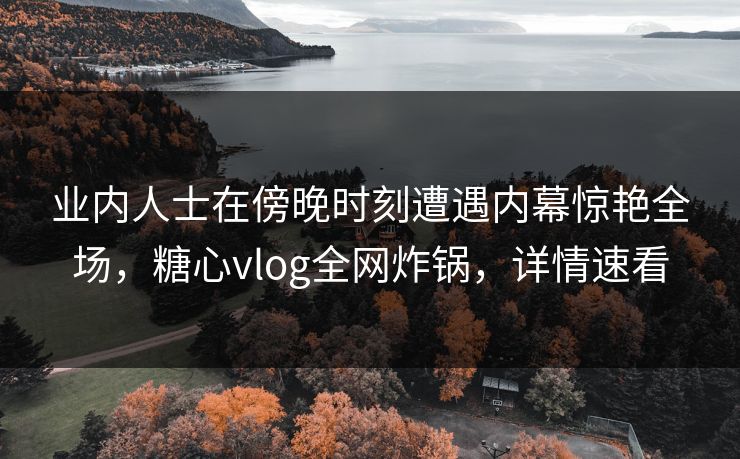 业内人士在傍晚时刻遭遇内幕惊艳全场，糖心vlog全网炸锅，详情速看