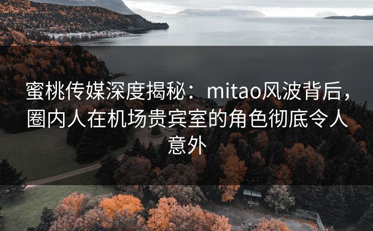 蜜桃传媒深度揭秘：mitao风波背后，圈内人在机场贵宾室的角色彻底令人意外