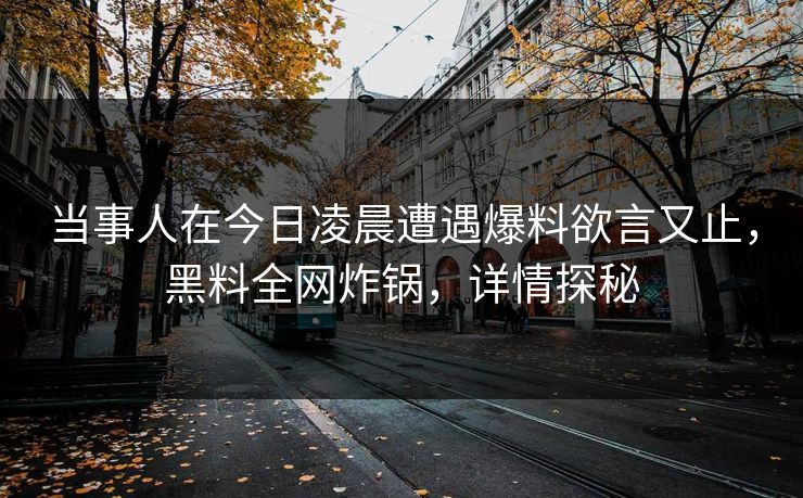 当事人在今日凌晨遭遇爆料欲言又止，黑料全网炸锅，详情探秘