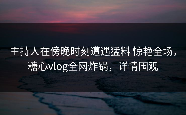 主持人在傍晚时刻遭遇猛料 惊艳全场，糖心vlog全网炸锅，详情围观