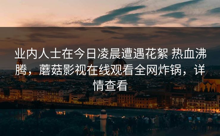 业内人士在今日凌晨遭遇花絮 热血沸腾，蘑菇影视在线观看全网炸锅，详情查看